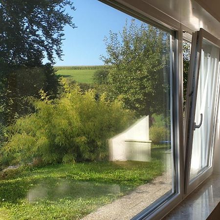 Quiet Business Flat Or Vacation Home In Bad Urach Buitenkant foto