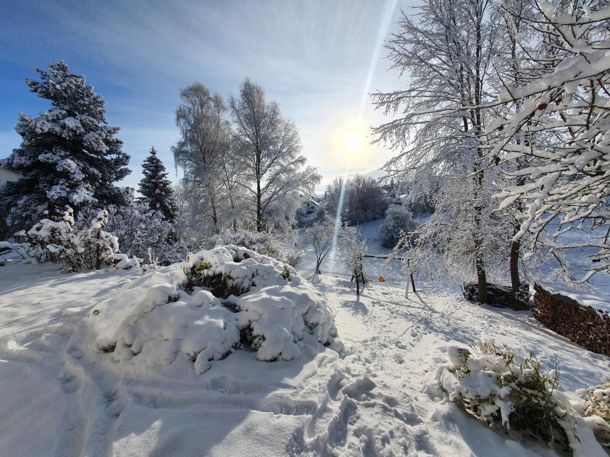 Quiet Business Flat Or Vacation Home In Bad Urach Buitenkant foto