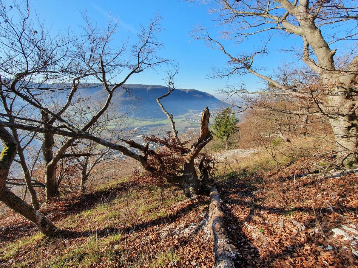 Quiet Business Flat Or Vacation Home In Bad Urach Buitenkant foto
