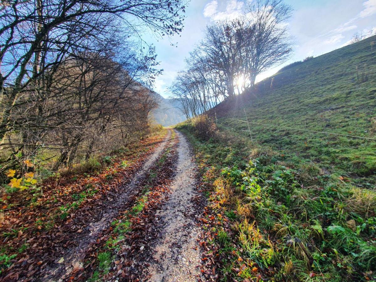 Quiet Business Flat Or Vacation Home In Bad Urach Buitenkant foto
