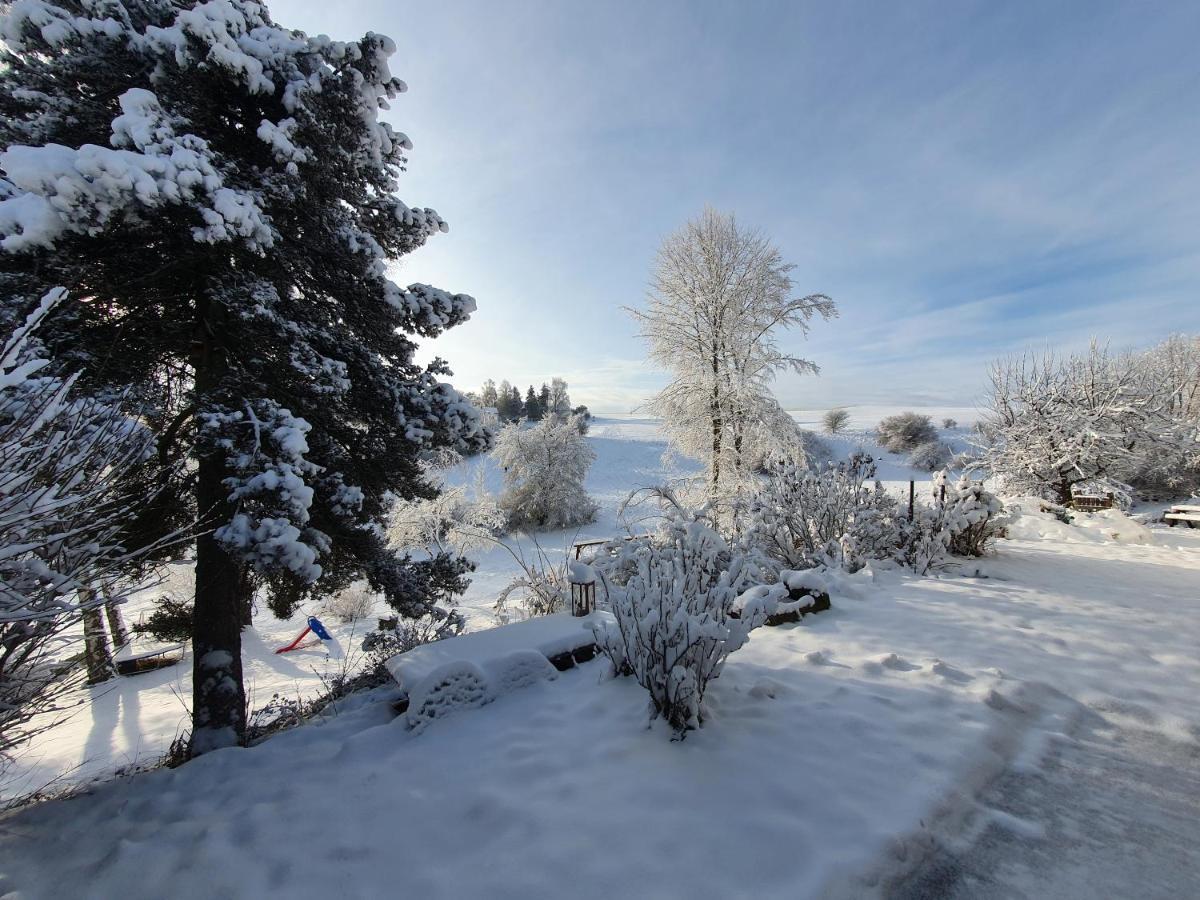 Quiet Business Flat Or Vacation Home In Bad Urach Buitenkant foto