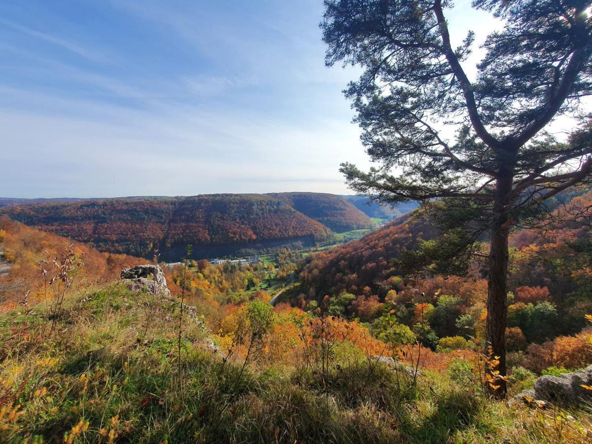 Quiet Business Flat Or Vacation Home In Bad Urach Buitenkant foto