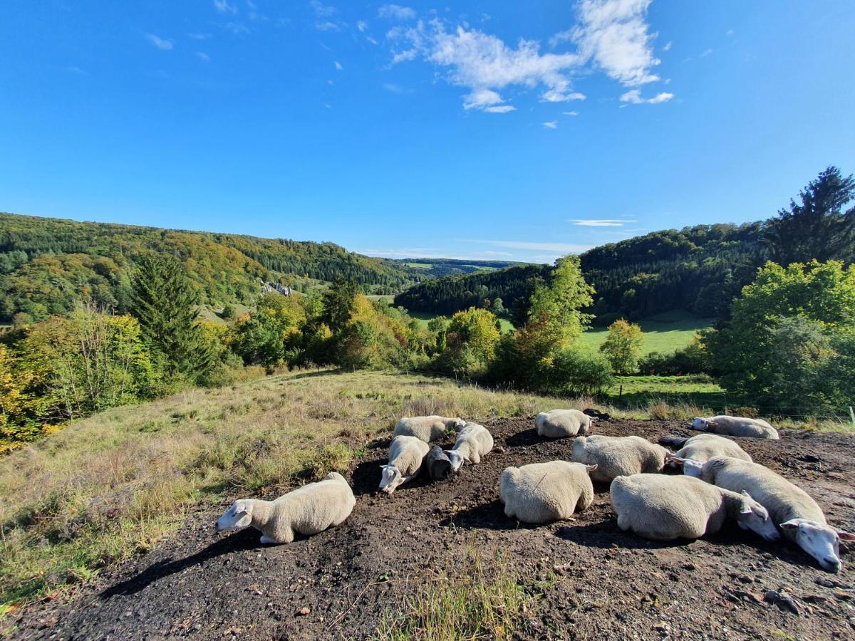 Quiet Business Flat Or Vacation Home In Bad Urach Buitenkant foto